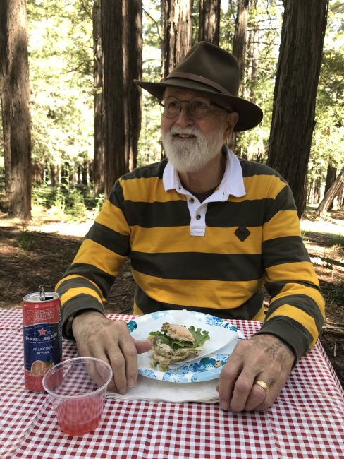 man sitting at a picnic table