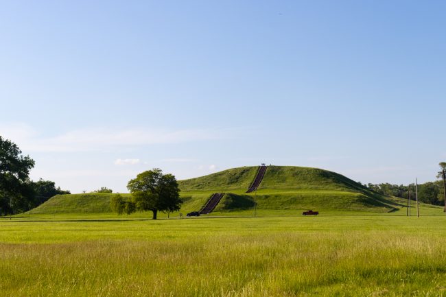 green mound in field